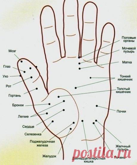 Волшебные точки на теле человека. Будьте всегда в форме!