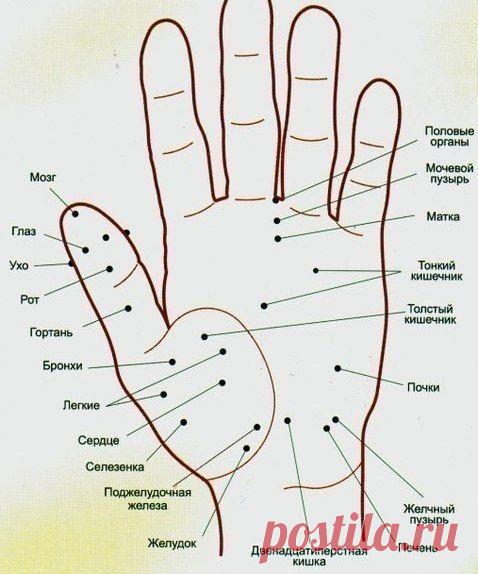 Волшебные точки на теле человека. Будьте всегда в форме!