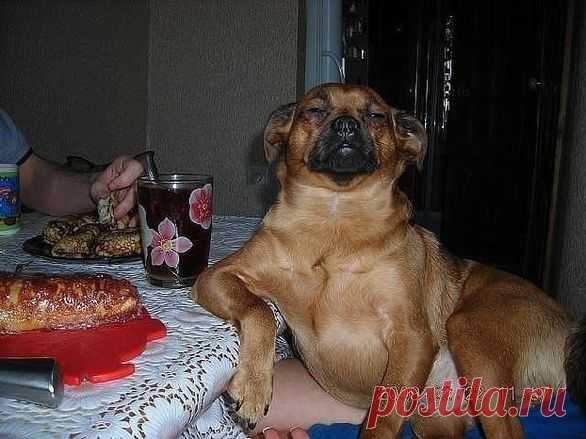 Мой Мир@Mail.Ru