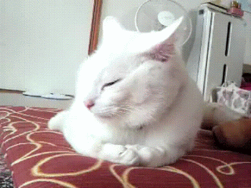 Мой Мир@Mail.Ru