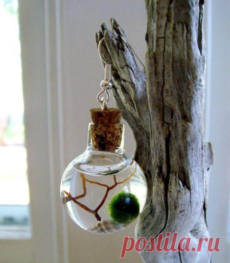 Миниатюрный аквариум как элемент декора