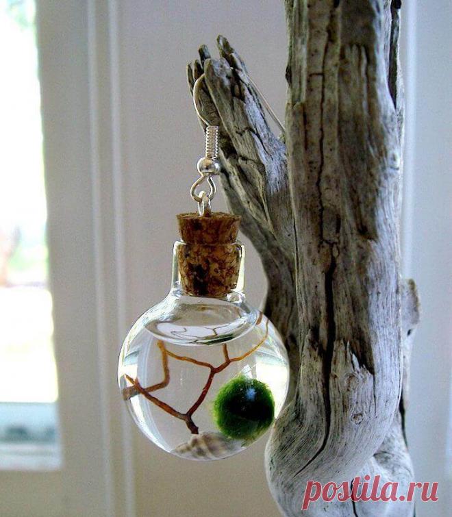 Миниатюрный аквариум как элемент декора