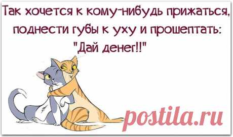 Gallery.ru / Фото #103 - Посмеёмся над собой - Vyazalkina