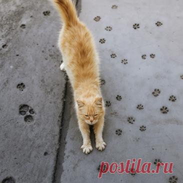 Творчество - Готовим так!