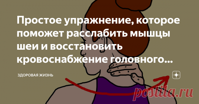 Простое упражнение, которое поможет расслабить мышцы шеи и восстановить кровоснабжение головного мозга Данное расслабляющее упражнение, можно также использовать в качестве разогрева мышц, перед основным комплексом упражнений для шеи.
