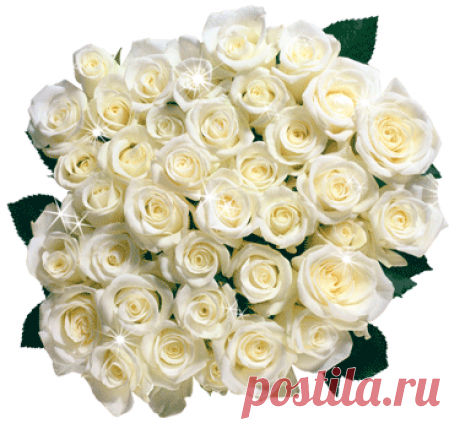 (54) Одноклассники