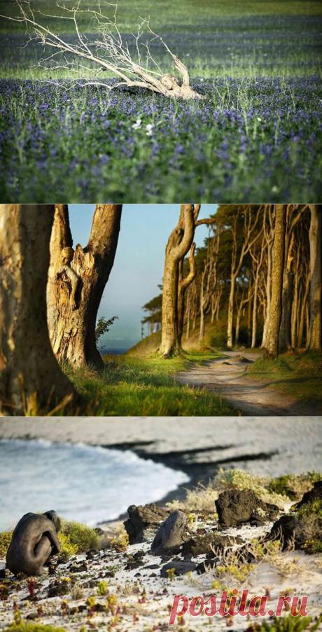 Боди-масикровка: тела моделей, замаскированные под окружающую среду. Сможете ли вы найти их всех? | Ультрамарин