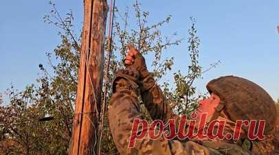 Бойцы ВС РФ прокладывают безопасные пути для техники и пехоты на Краматорско-Дружковском направлении. За два часа бойцы 38-го отдельного инженерно-сапёрного батальона прокладывают до 1 км безопасной дороги. Их работа позволяет военным на Краматорско-Дружковском направлении двигаться без риска: пути проверяются на наличие взрывных устройств, сброшенных с дронов, и зачищаются от последствий артиллерийских ударов. Эти маршруты необходимы для эвакуации раненых, прохода техники и пехоты.…