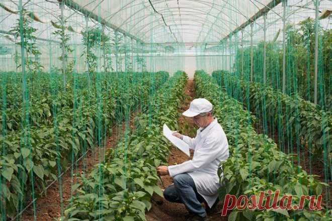 (+1) тема - 10 новых профессий, которые могут быть востребованы уже через 15 лет | Занимательный журнал