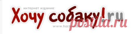 Интернет издание про собак, все о породах собак, питомниках собак а так же продаже и покупке щенков - ХочуСобаку.ру