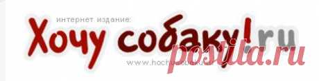 Интернет издание про собак, все о породах собак, питомниках собак а так же продаже и покупке щенков - ХочуСобаку.ру