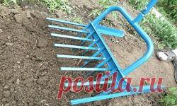 Была в парикмахерской, подстриглась, и...: Дневник пользователя malinteso