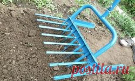 Была в парикмахерской, подстриглась, и...: Дневник пользователя malinteso