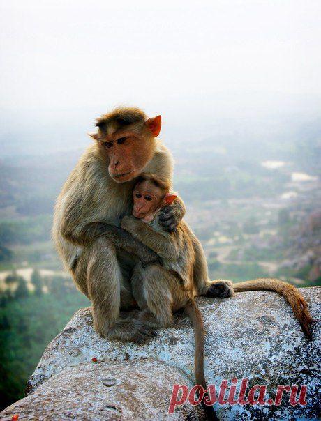Monkey Temple, Хамп, Индия