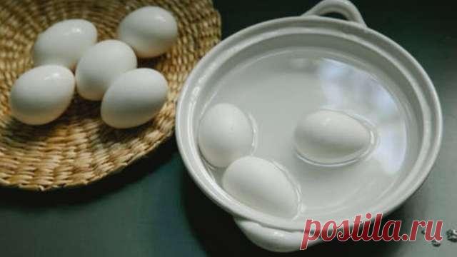 Зачем огороднику вода, в которой варились яйца, и почему ее нельзя выливать в раковину — Сад Заготовка