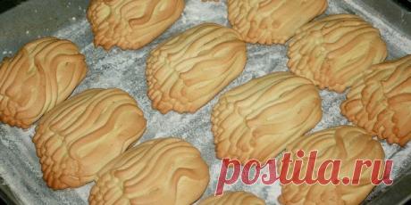 Печенье через мясорубку - домашние рецепты приготовления пошагово