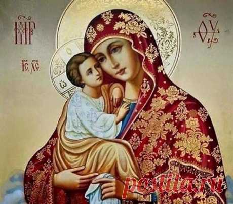 Пресвятая Владычице моя Богородице, святыми Твоими и всесильными мольбами отжени от мене, смиреннаго и окаяннаго раба Твоего, уныние, забвение, неразумие, нерадение и вся скверная, лукавая и хульная помышления от окаяннаго моего сердца и от помраченнаго ума моего; и погаси пламень страстей моих, яко нищ есмь и окаянен. И избави мя от многих и лютых воспоминаний и предприятий, и от всех действ злых свободи мя. Яко благословенна еси от всех родов, и славится пречестное имя Т...