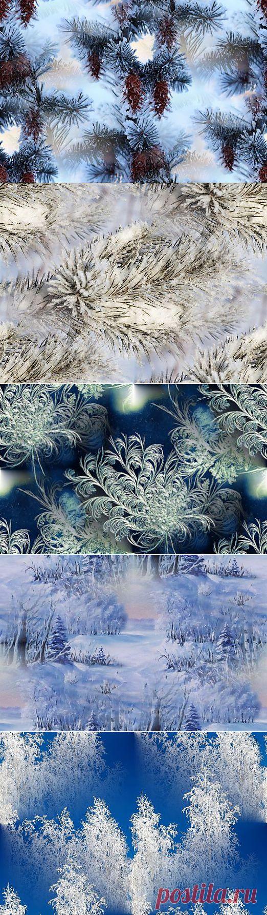 Фоны  Зимние от sherila...