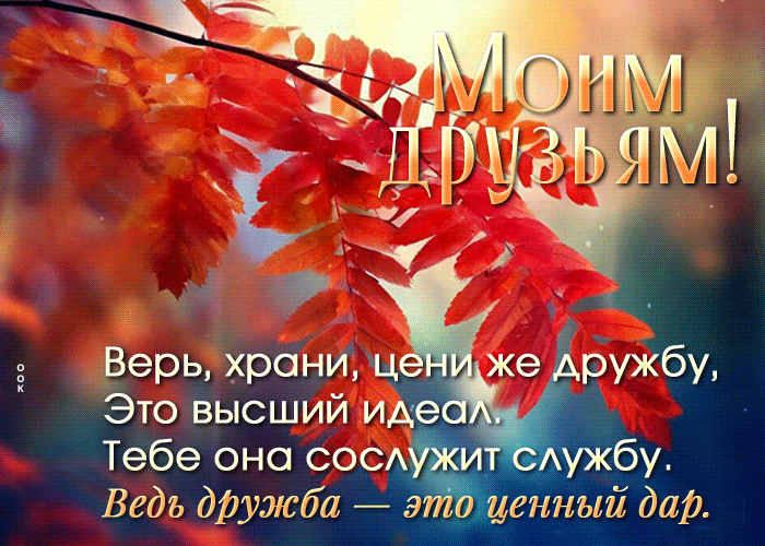 Верь, храни, цени же дружбу, это высший идеал