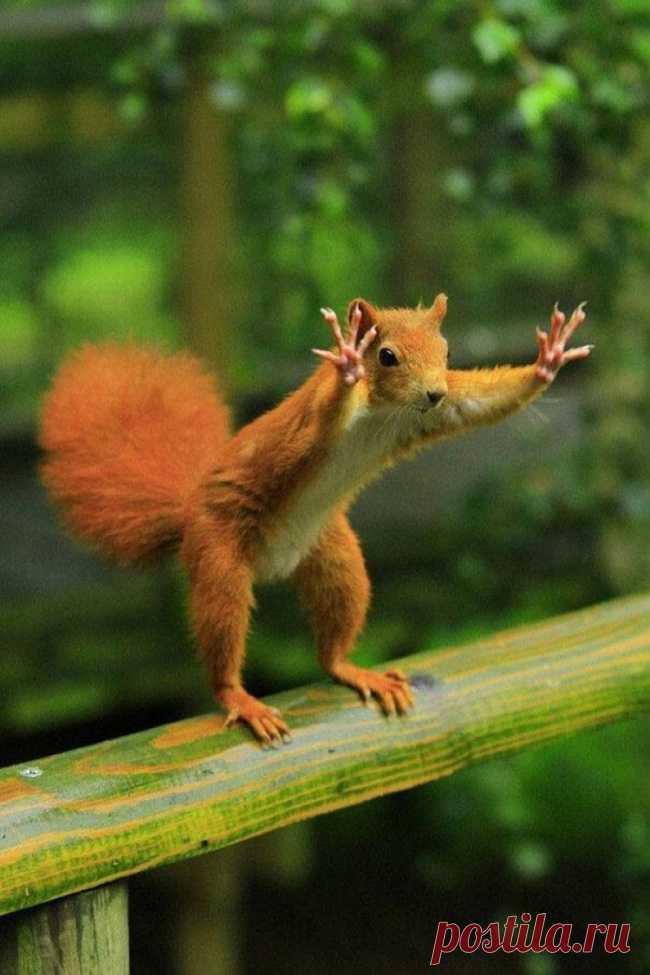 20 фотографий, на которых идеально пойман момент