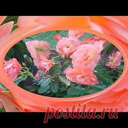 Интересные новости