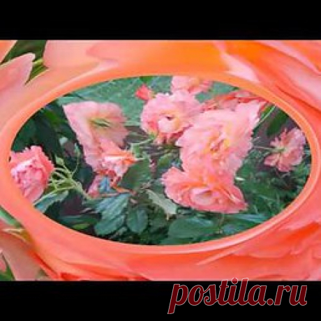 Интересные новости