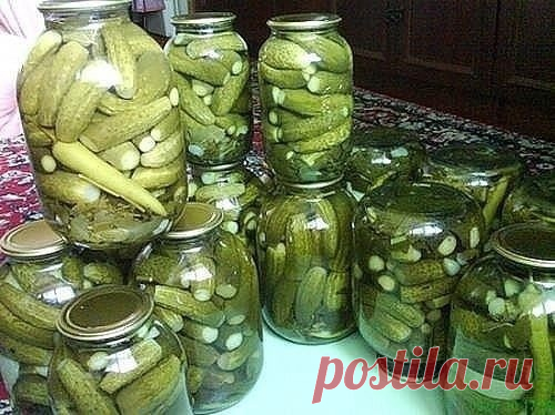 Закрываем огурцы на зиму. 8 вариантов заготовок.

1. ВАРИАНТ-ОГУРЦЫ 