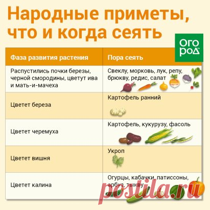 Дачнику на заметку!