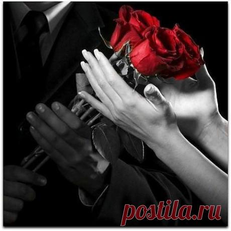розы из рук любимого хранят тепло его рук