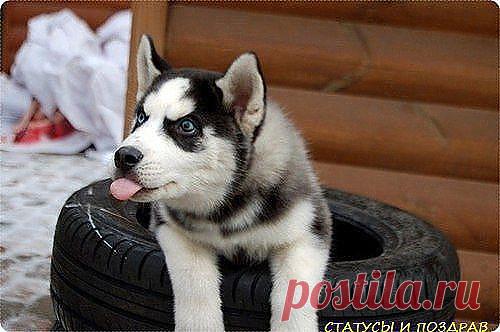 (22) Одноклассники