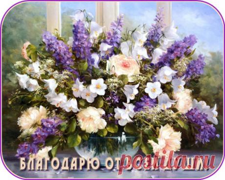 ОТКРЫТКИ ДЛЯ ВСЕХ СО СЛОВАМИ: СПАСИБО, БЛАГОДАРЮ, ПОЖАЛУЙСТА. - ОБЩЕНИЕ И ВСЕ САМОЕ ИНТЕРЕСНОЕ. - Группы Мой Мир