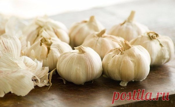 Чесночный ликер от кучи болезней. В прозрачную бутылку положить 12 зубчиков чеснока, каждый ...