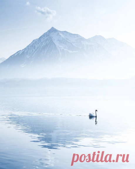 i (1080×1350)
