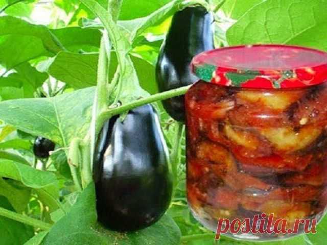 ✓ Самые вкусные рецепты - Receptiki-ru: БАКЛАЖАНЫ ПО-ХЕРСОНСКИ