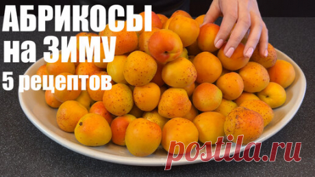ВОТ ТАК нужно заготавливать АБРИКОСЫ: пять лучших способов хранения абрикосов НА ЗИМУ | ЭТО ВКУСНО | Дзен