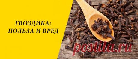 Гвоздика: польза и вред для здоровья организма Гвоздика: история происхождения, применение в народной медицине, косметологии и в кулинарии, польза и вред для здоровья организма.