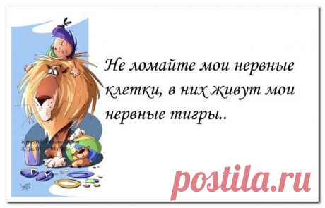 Новости