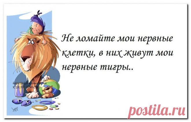 Новости