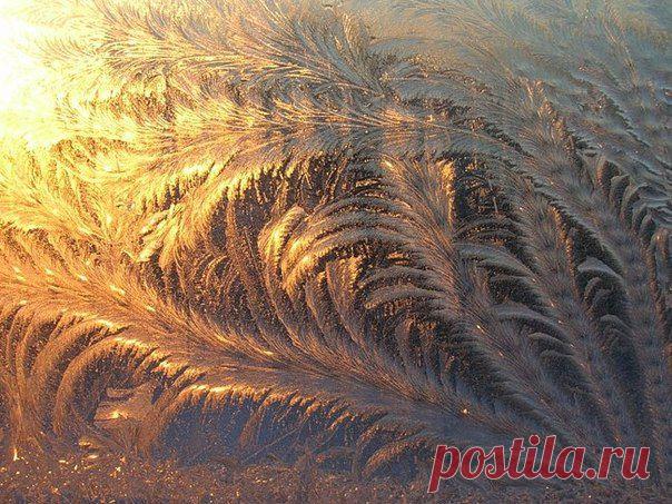 Ледяные узоры на окнах / Социальная погода