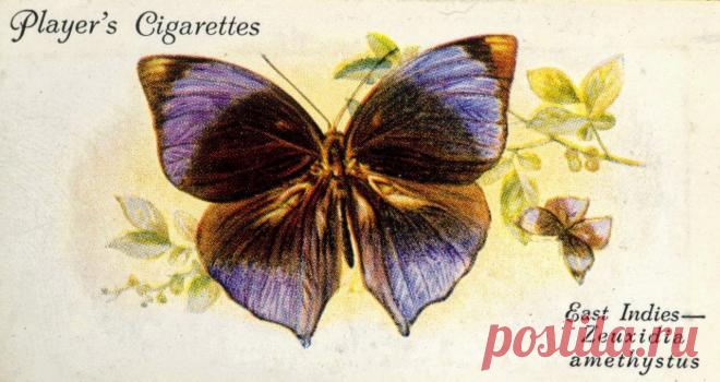 Декупаж в Кургане