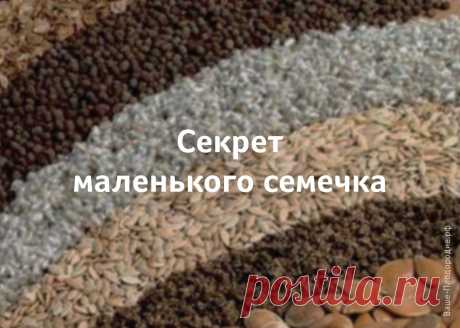 Выращивание рассады — Ваше Плодородие