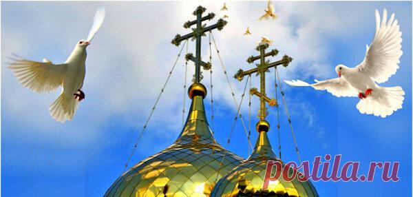 Три случая спасения
В моей жизни было три случая чудесного спасения. В детстве я жил в селе, в частном деревянном доме. Перед Пасхой женщины полоскали выстиранные домотканые половики в проруби на реке Клязьме. Зимы были морозными, толщина льда достигала десяти сантиметров. Матушка (царствие ей небесное) с коробом за спиной отправилась на реку, прихватив меня, пятилетнего мальчугана. Она увлеклась […]
Читай дальше на сайте. Жми подробнее ➡