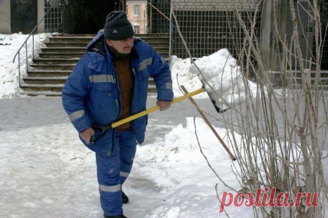 Разворотнева: высокие штрафы для УК за неубранный снег не принесут пользы. Финансовые средства на оплату повышенных штрафов в отношении управляющих компаний и организаций сферы ЖКХ за не вовремя проведенную уборку снега будут взиматься из бюджета для обслуживания общедомового имущества.