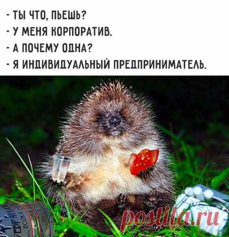 В ОДИНОЧКУ ЭКОНОМНЕЕ!