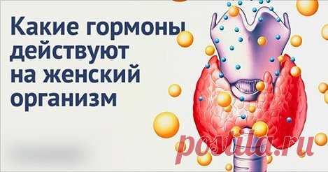 Какие гормоны действуют на женский организм

Практически во всем, что с вами происходит — от легкого «приуныл» до депрессии, от задорного настроения до оргазма, виновата химия.

И именно — гормоны, которые вырабатывает ваш организм.

Научитесь хоть немного держать их в узде, или наоборот — скакать галопом.

Надпочечники

АНДРОГЕНЫ: мужские половые гормоны

У женщин они тоже вырабатываются, в основном – корой надпочечников. Они отвечают за все мужские качества: способность ...