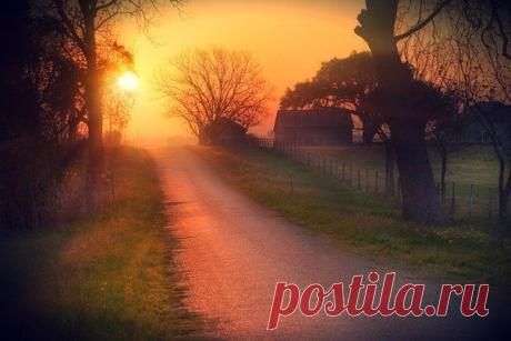 Любовь Галченкова - Санкт-Петербург, Россия на Мой Мир@Mail.ru