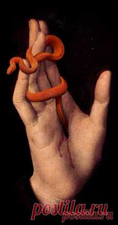 Курякова Наталья: змеи | Постила