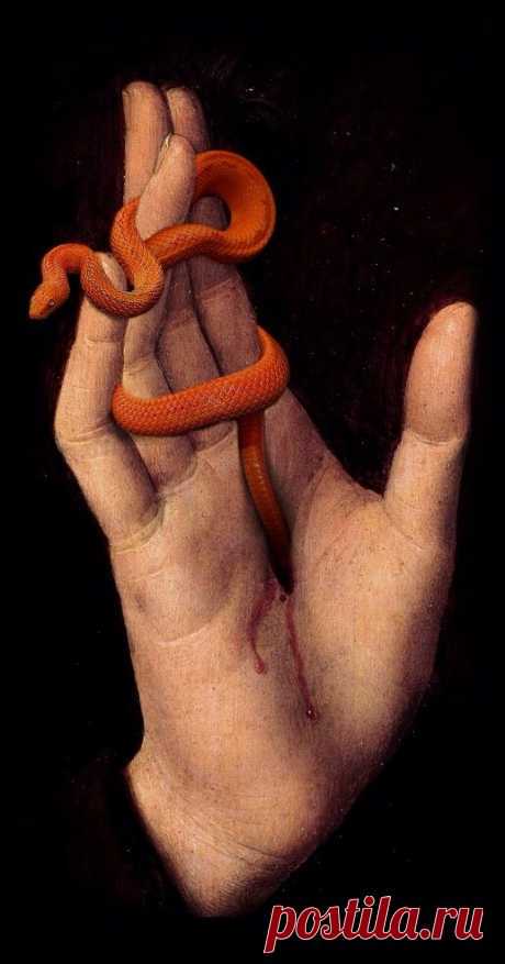 Курякова Наталья: змеи | Постила