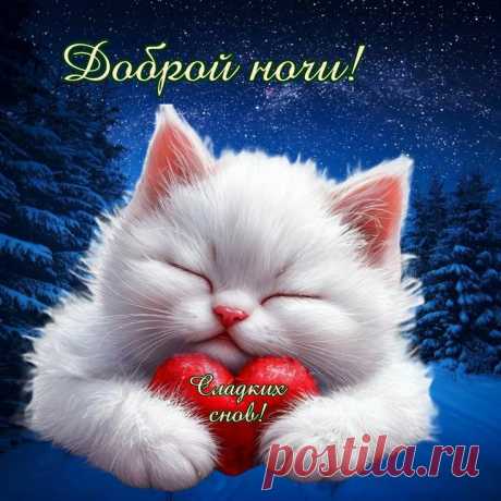 Доброй ночи, ангел мой.
Спокойной ночи, сладких снов.
Я охраняю твой покой
Средь фантастических миров.