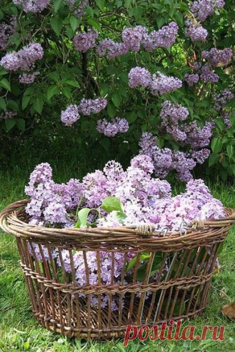 Для теплых слов не нужен повод
и ждать не надо много лет
Дарите их в жару и в холод
с утра, под вечер и в обед.
Они нужны, как свежий воздух
как неба синь, как соль земли
Тепло дарить, ведь так не сложно
в них море ласки и любви.
© Людмила Щерблюк